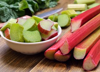 Look beyond Brexit to a sustainable approach, urges Lynx Purchasing Look beyond Brexit to a sustainable approach, urges Lynx Purchasing