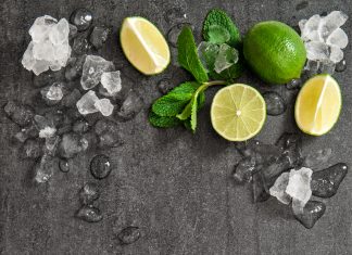 Hubbard launches 400kg a day icemaker Icemaker