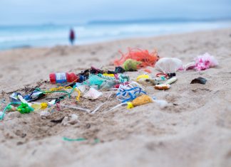 Salcombe Gin launch new partnership Salcombe Gin Partnership