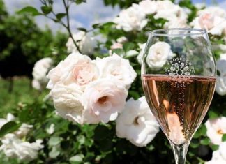 Launch of Prosecco DOC Rosé expected to boost post- lockdown UK sales of Prosecco Wines