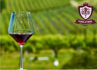 Online drinks course now available from school of booze