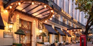 Our Eggs-pert opinion