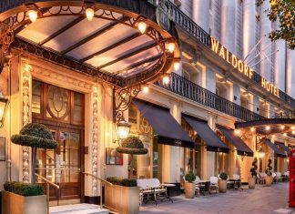 Our Eggs-pert opinion