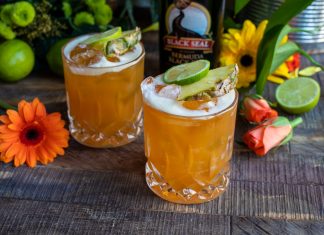 Love Cocktails Recipe Book launched to promote Bars and Mixologists