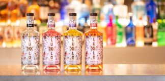 The lower ABV, low calorie, sugar-free drink that is redefining the spirit category